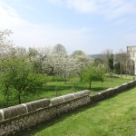 abbaye de Jumièges Crédit Abbayes Normandes