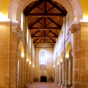 Architecture romane, architecture gothique, Visite thématique