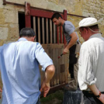 nouvelle-image-7