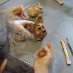 carnaval-des-animaux