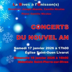 Concert du nouvel an