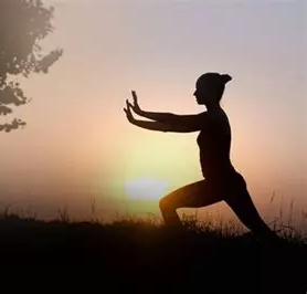 Stage de Qi Gong: les Mouvements Essentiels