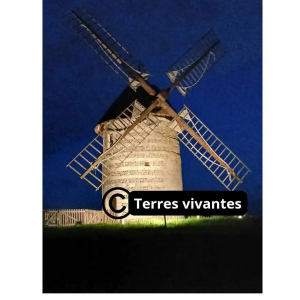 Pierres en lumières