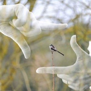 Exposition : “365 jours” – Photographies de Sébastien BOULLIER